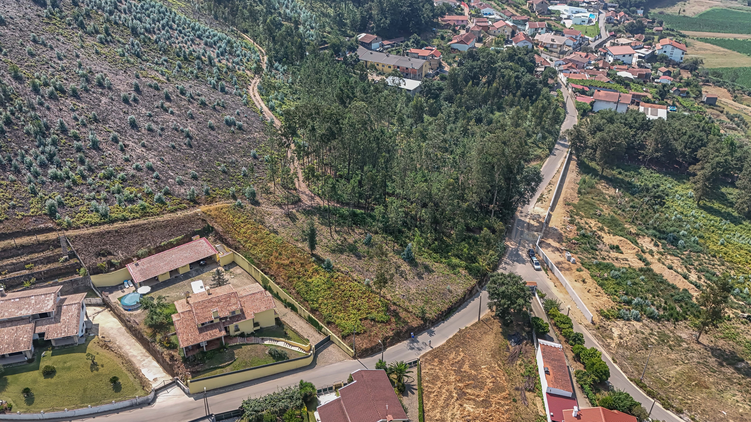 Terreno
